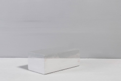 XUP2104a-scaled