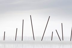 Dikdenk1a-scaled