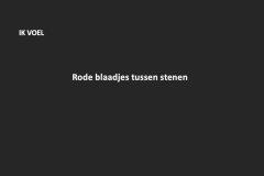 ZDIkvoel