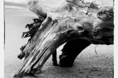 Lapland-8